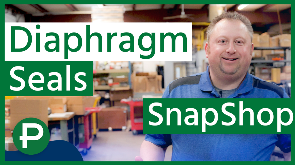 Peerless SnapShops: Diaphragm Seals