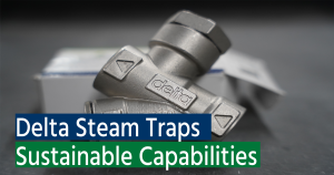 Delta Steam Traps | Sustainable Capabilities of Delta Steam Traps
